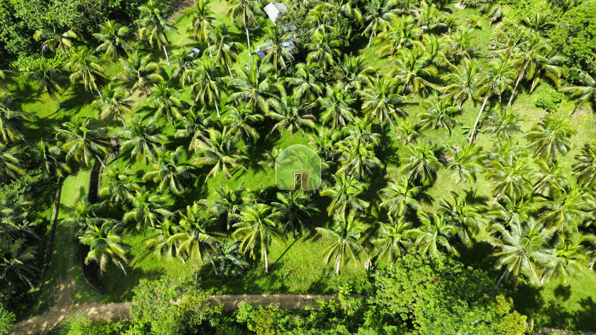AGRICULTURAL LOT For Sale at Corella, Bohol - image 1