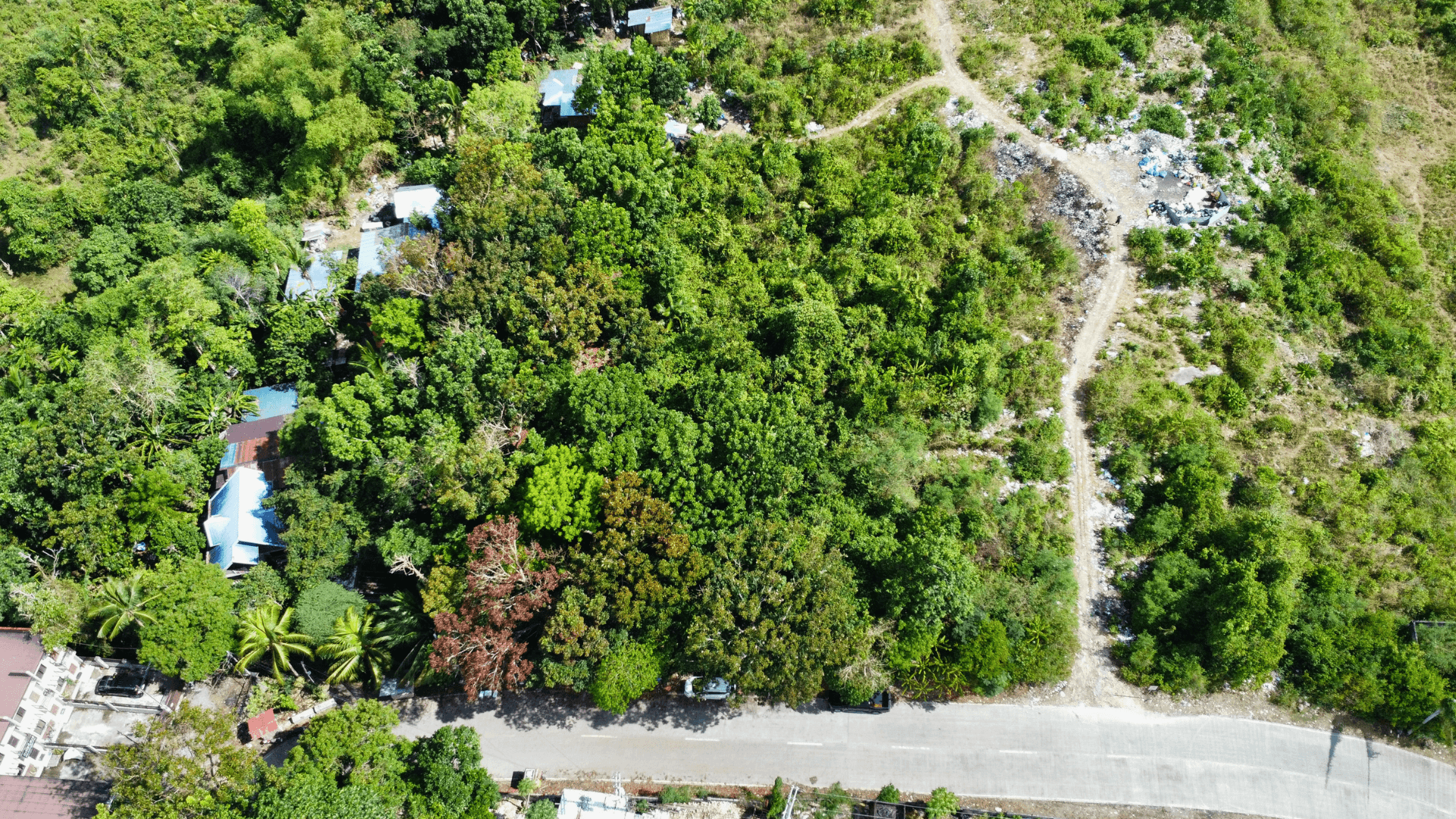 Land in Cogon District