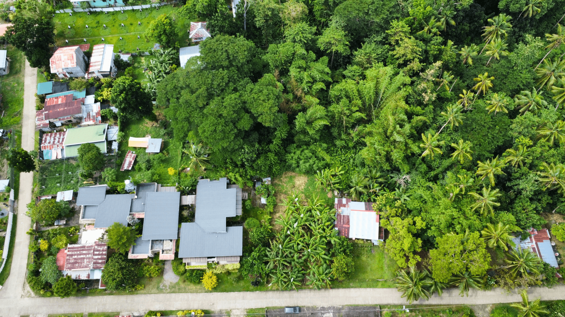Land in Poblacion