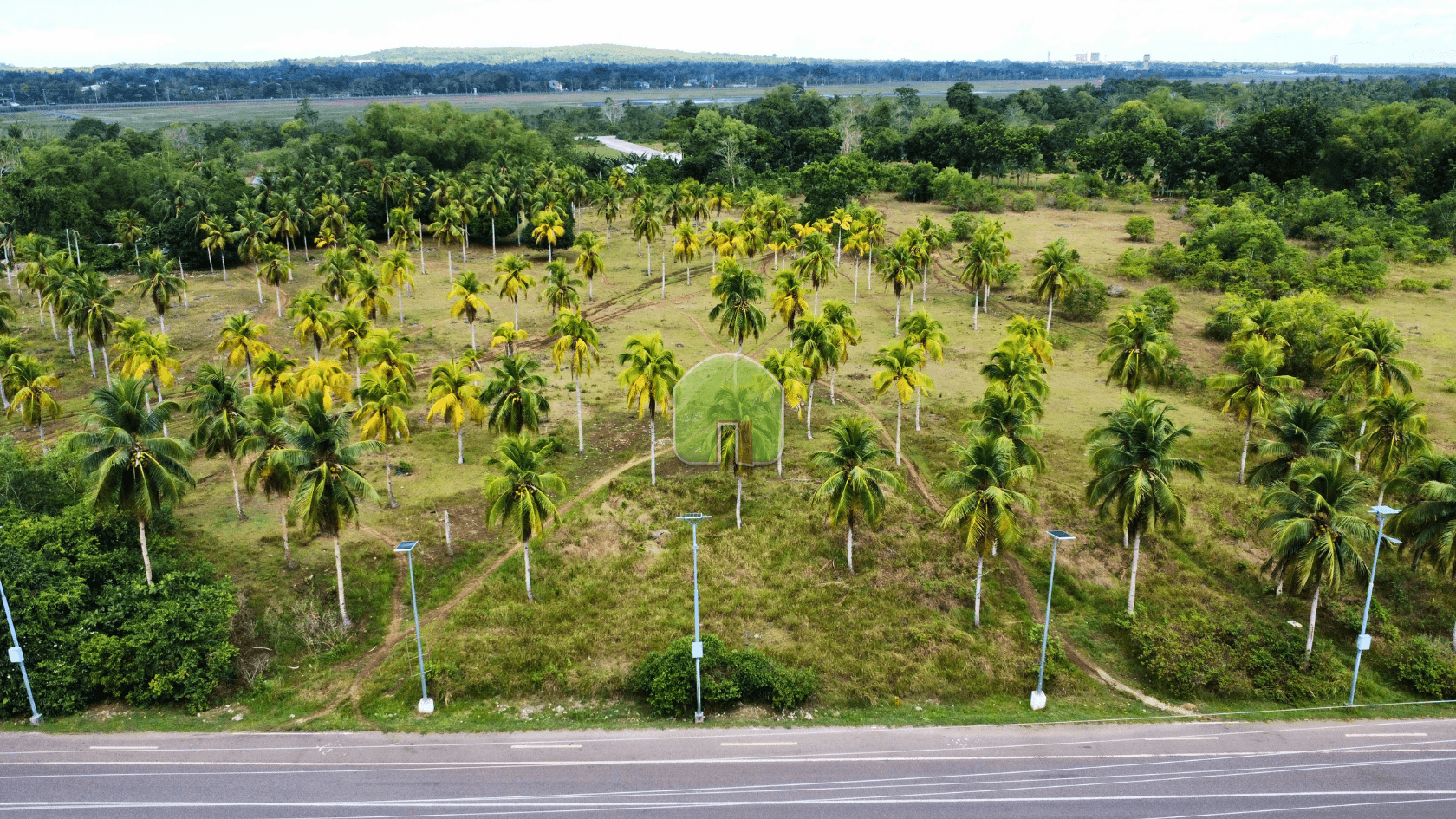 Land in Tawala