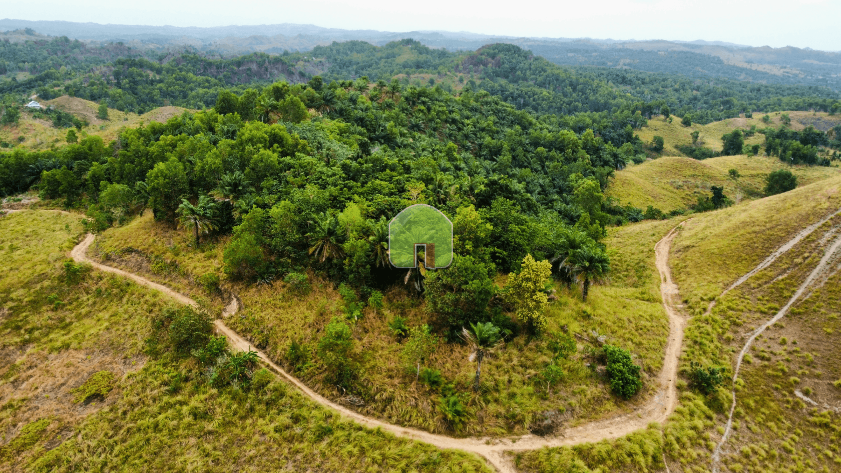 Exceptional Overlooking Property at Tomoc San Miguel Bohol - image 1