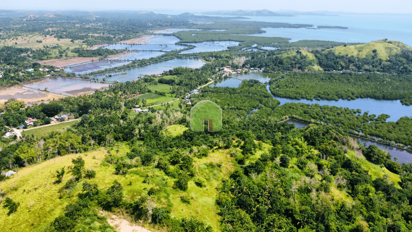 Overlooking Sea View Lot at Cagting Ubay Bohol - image 1