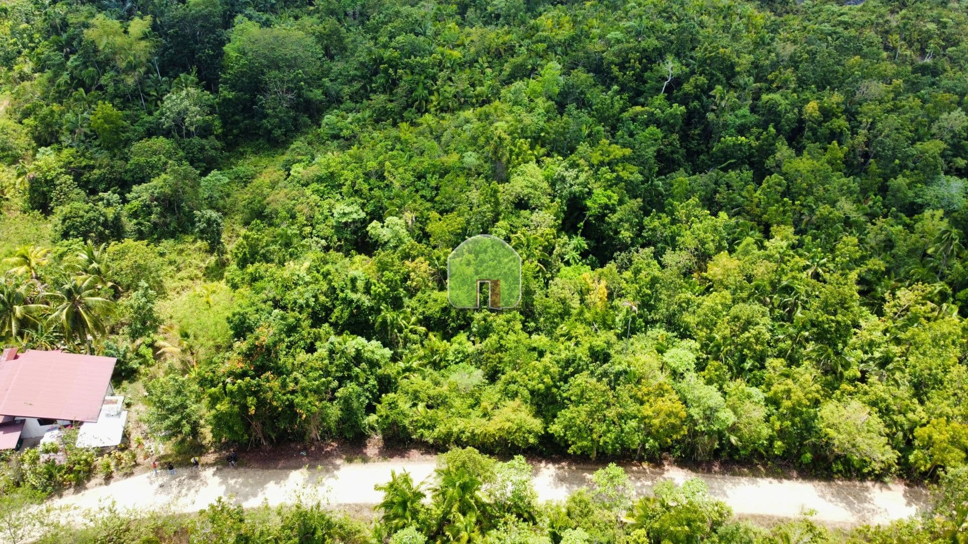 Prime 1.3-Hectare Commercial Lot For Sale in Cabawan, Tagbilaran City - image 1