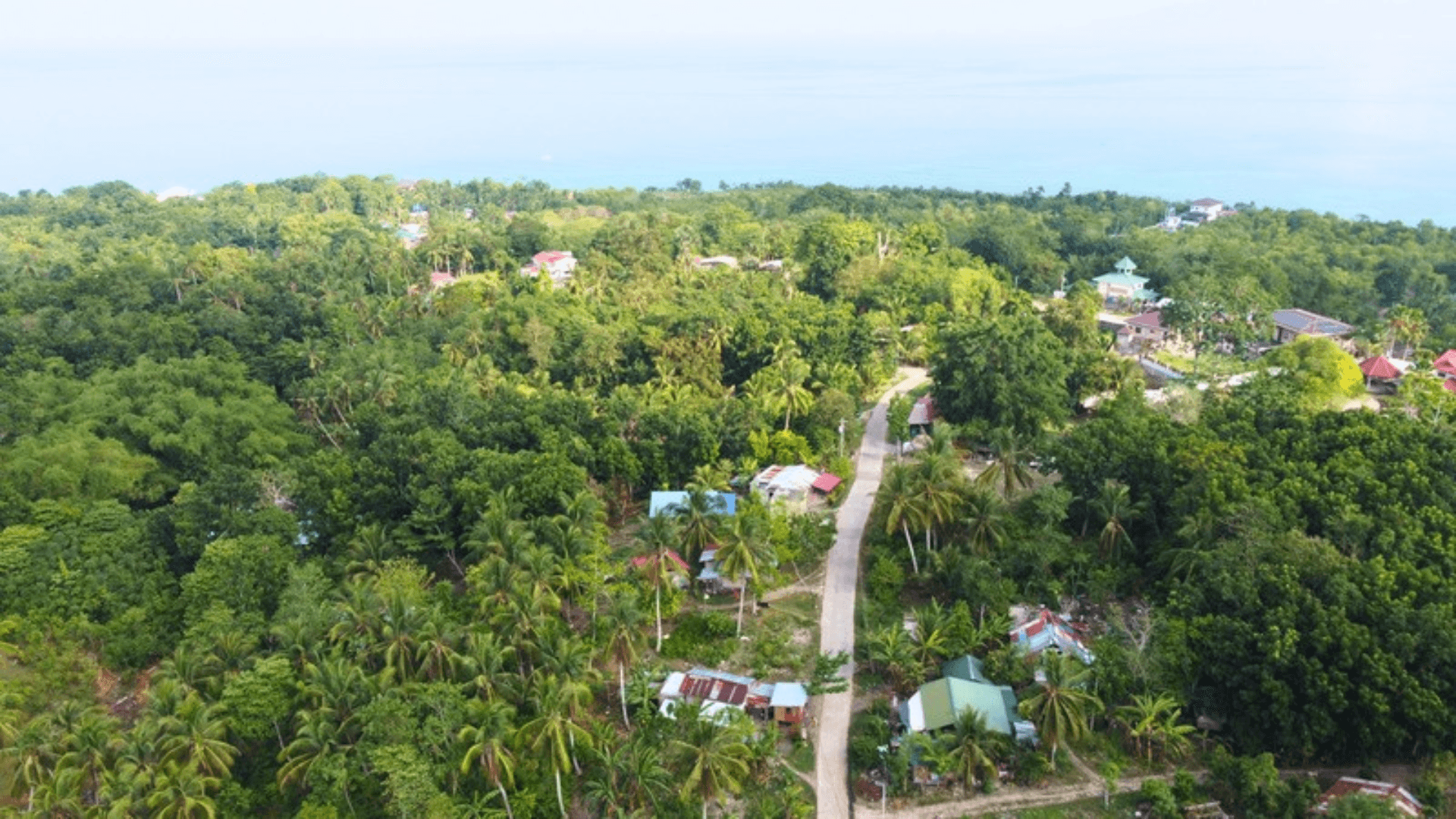 Residential Lot at Tabalong Dauis Panglao Island Bohol - image 1